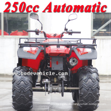 Neuen 250er Bode Quad automatische Sport ATV (MC-356)